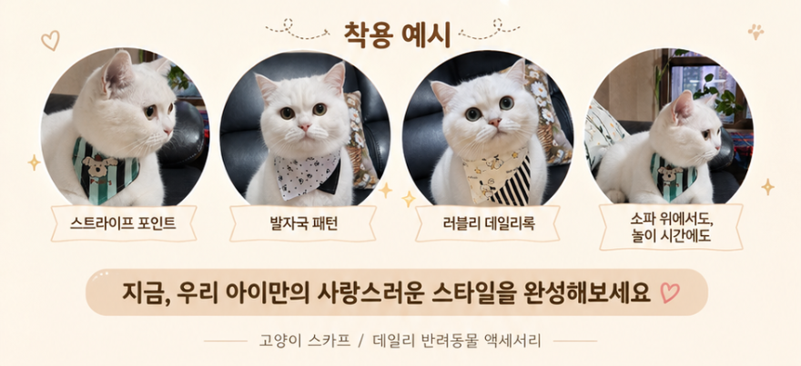 KakaoTalk_20260623_141652007_03.png